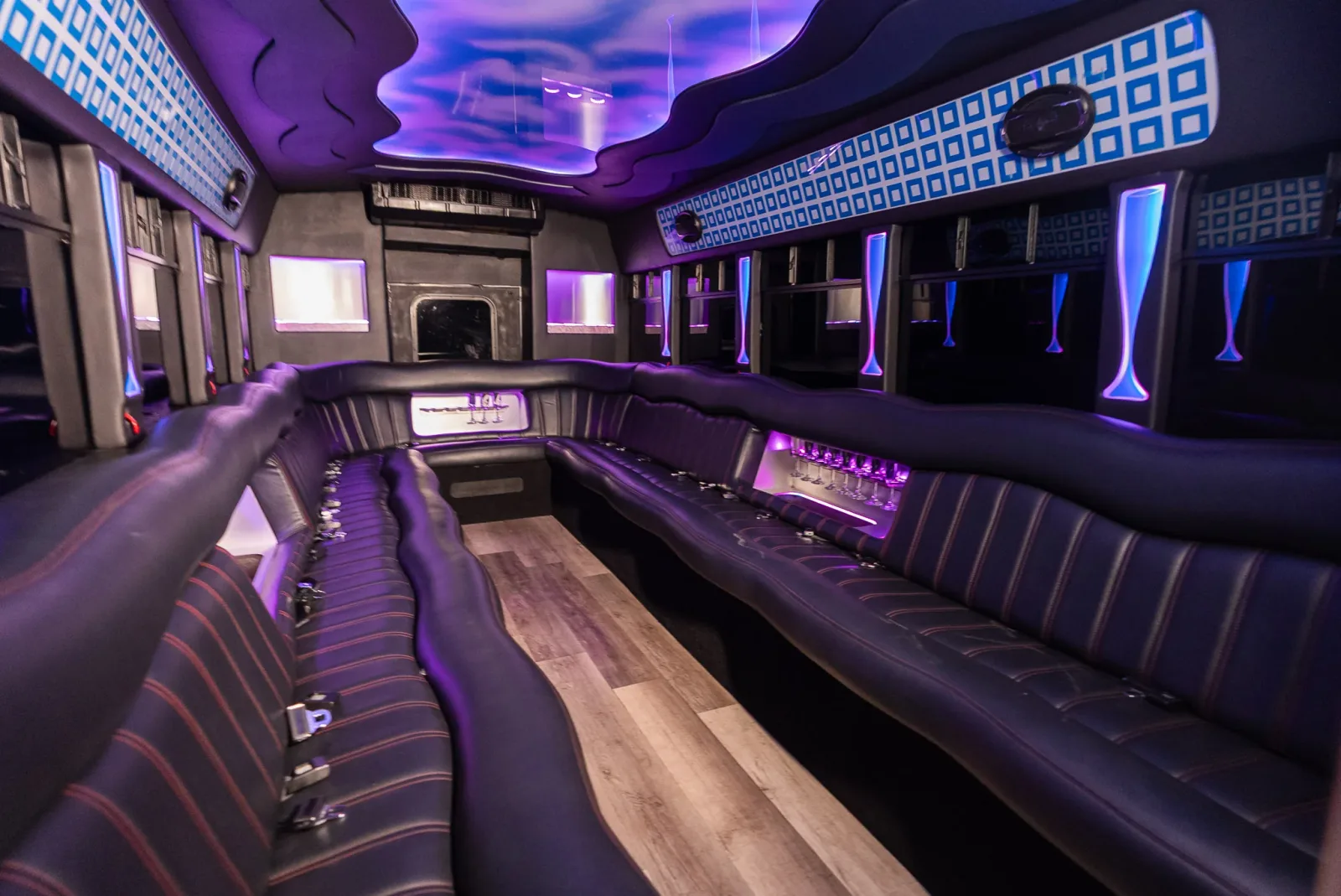 Luxury Party Bus — photo 2