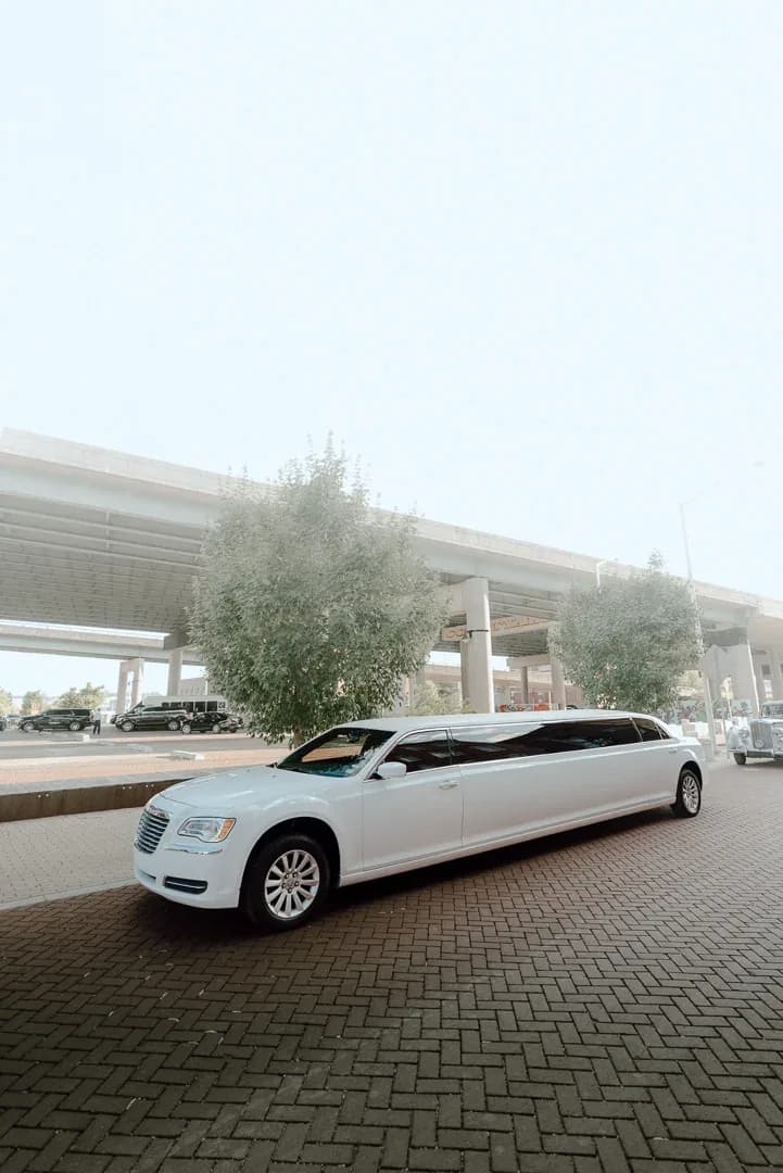 Stretch Limousine — photo 1